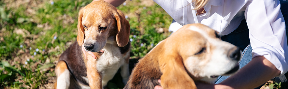 Zu Ihrer Information: